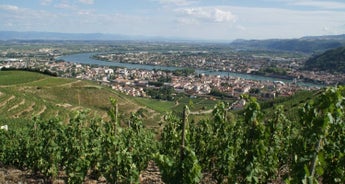 France, Uncorked: The Rhone, The Seine & Bordeaux 2025