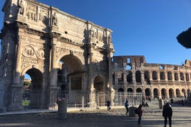 VIP tour of Rome from Civitavecchia, Colosseum & Vatican (10hrs)