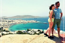 Halve dagtour met kleine groepen met hoogtepunten en lekkernijen in Mykonos