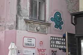 Zagreb Street Art Private Walking Tour met een lokale artiest