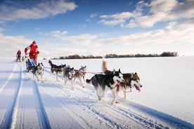 Snowmobile Safari zum Husky Camp von Rovaniemi