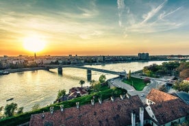 Excursion d'une journée à Novi Sad et Sremski Karlovci au départ de Belgrade