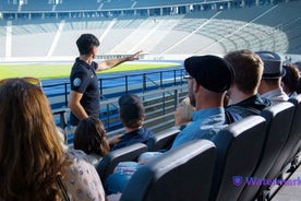 Berlin: Olympic Stadium Guided Tour