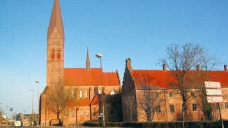 Odense Kommune - town in Denmark