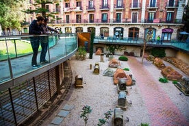 Barcelona Private Walking Tour genom staden Gaudi