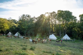 Brimbretti, strandsigling og glampi í Cornwall