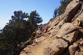 Troodos Walking Trip (Artemis + / Myllomeris Waterfalls) - privat fra Limassol