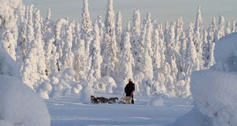 Finnish Wilderness Week