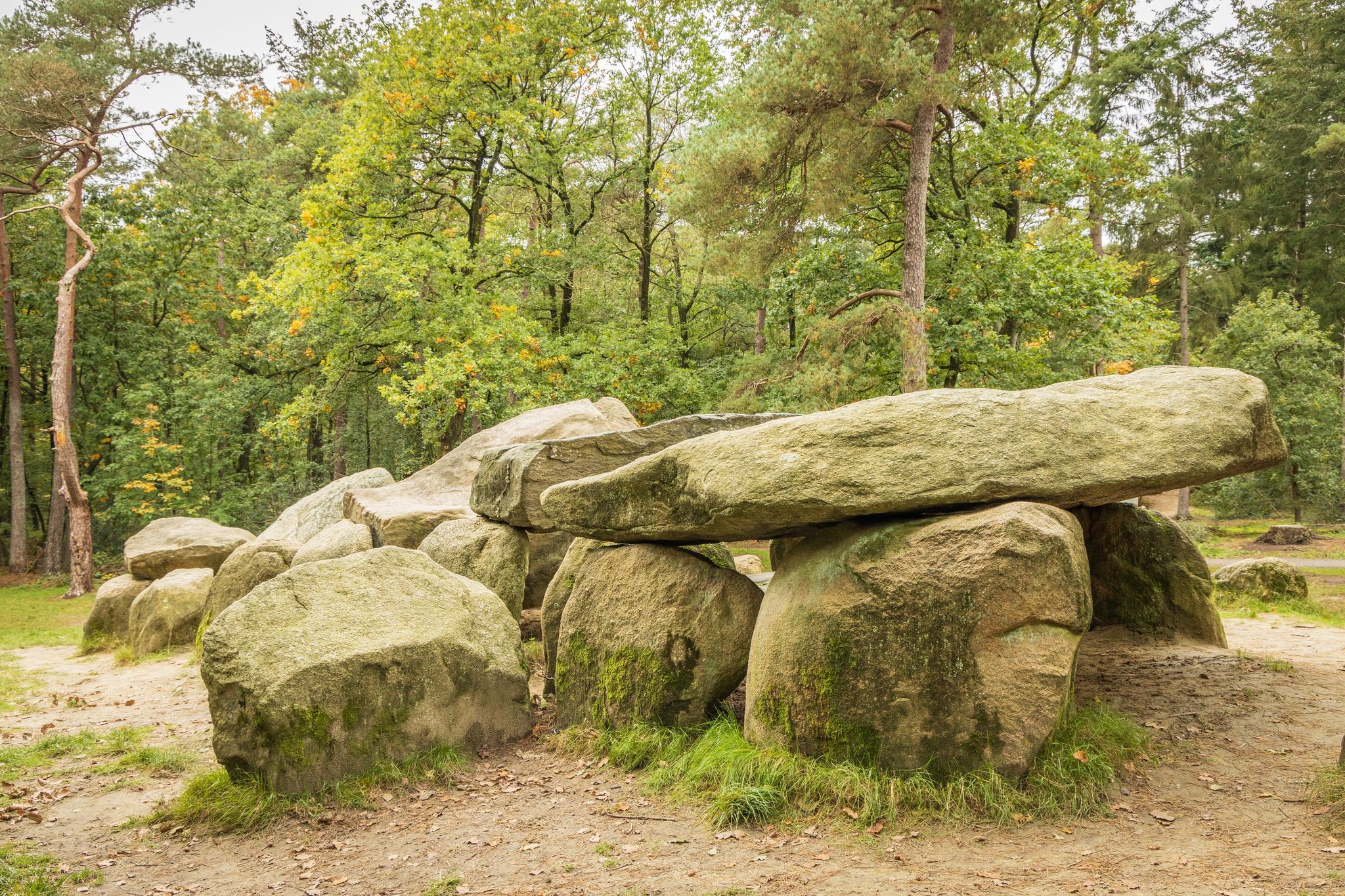 Emmen bed and breakfasts