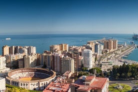 Punti salienti turistici di Malaga in un tour privato di mezza giornata con un locale