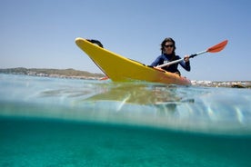 Kajaktur och snorkling från Fornells