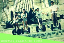 All City and Sea Segway Tour