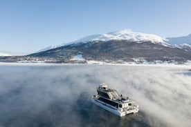 Cruzeiro de meio dia pelo Fiorde Ártico saindo de Tromso