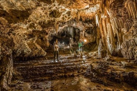 Special Montenegro: Lipa grotta - Njegošs mausoleum - Njeguši by - Cetinje