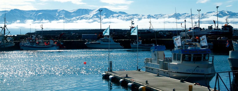 Our whale-watching trip is over and we're safely back in the Húsavík harbor. Northern Iceland