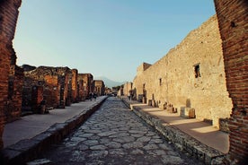 Pompeji Herculaneum og Winery Tour