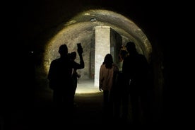 Visite guidée à pied du métro de Vienne