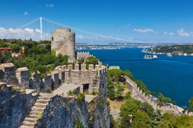 Touristic sightseeing ships in Golden Horn bay of Istanbul and mosque with Sultanahmet district against blue sky and clouds. Istanbul, Turkey during sunny summer day.