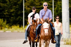 90 Minuten Reiten in der Stadt Lviv in der Nähe des Stallgebiets