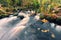 photo of view of Beautiful nature scenery of small river stream with rocks and leaves at Barna woods in Galway, Ireland.