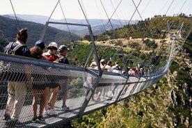 Tour di un giorno del ponte sospeso di Arouca e della passerella di Paiva da Porto