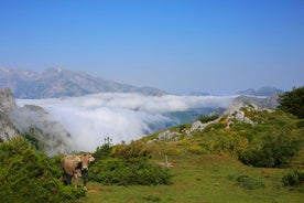 Excursión privada de día completo en 4x4 desde Bilbao a Picos de Europa. Buenas comidas