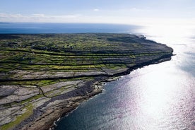 Excursion d'une journée à Inis Meáin (îles d'Aran): ferry retour depuis Rossaveel, Galway