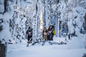 Esplora la natura selvaggia, spedizione fotografica