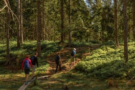 Caminata de medio día por el bosque de vida silvestre