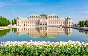 Linz, Austria. Panoramic view of the old town.