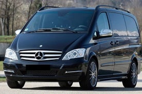 Ibiza by yourself with English Speaking driver by minivan 4, 8 or 12 hr disposal