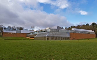 Burrell Collection