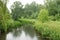 Chelmer Valley Local Nature Reserve, Chelmsford town, Chelmsford, Essex, East of England, England, United Kingdom