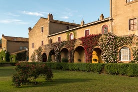 Wijntour Bolgheri Halve dag kustexcursie vanuit de haven van Piombino