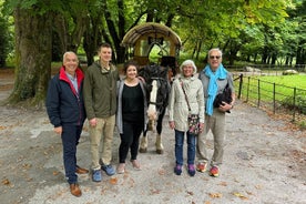 Einkatúra um Kerry og Killarney frá Cork eða Cobh