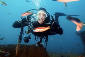 Eco - Prófaðu Dive