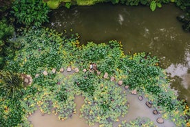 Furnas & Terra Nostra Botanic Park Guided Tour w/ Hotsprings