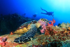 Scuba Diving Tour in Antalya with Lunch and Transfer