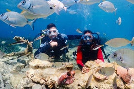 Kusadasi: Diving Experience with Lunch and Transfer