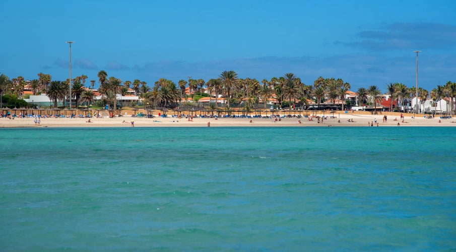 Photo of panoramic view of Caleta de Fuste in front of a stunning white sandy beach full of tourists and turquoise sea surrounded by palm trees in the touristic Fuerteventura in the Canary Islands, Spain.