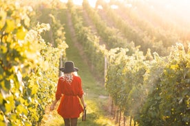 Tour en las colinas de Prosecco desde Padua