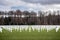 Luxembourg American Cemetery and Memorial.