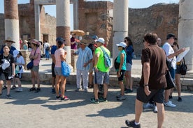 ALL INCLUSIVE tour. Pompeii excavations with transfer from Naples, guide and ticket.