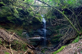 Liten gruppe guidet fottur i Anaga Rural Park på Tenerife