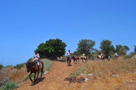 1 Hour Small Group Horse Riding Tour in Okurcalar