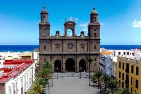 Visit to Las Palmas town with pickup from South