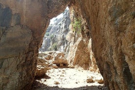 Escursione di un'intera giornata alla gola di Imbros e Sfakia da Chania