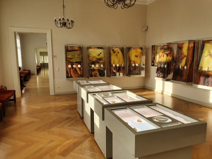 photo of Palanga, Lithuania - Jan 19, 2020: Amber museum in Palanga, a hallway exhibition with amber.