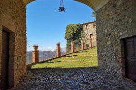 Unique EnoBike experience with tasting in 2 excellent wineries