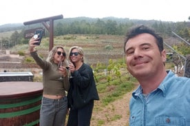 Private Ganztagestour mit kanarischer Weinprobe und Aloe-Vera-Farm